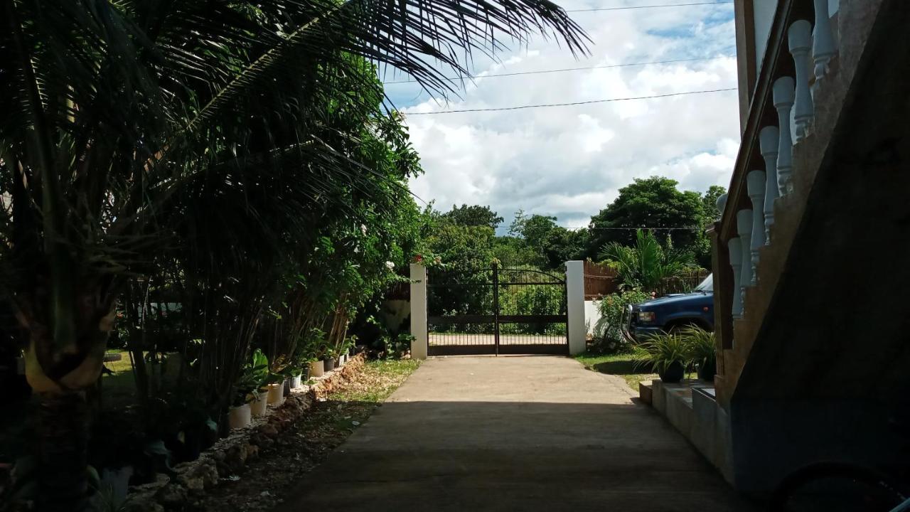 Casa James Apartment, Rooms , Pool And Restaurant Siquijor Buitenkant foto